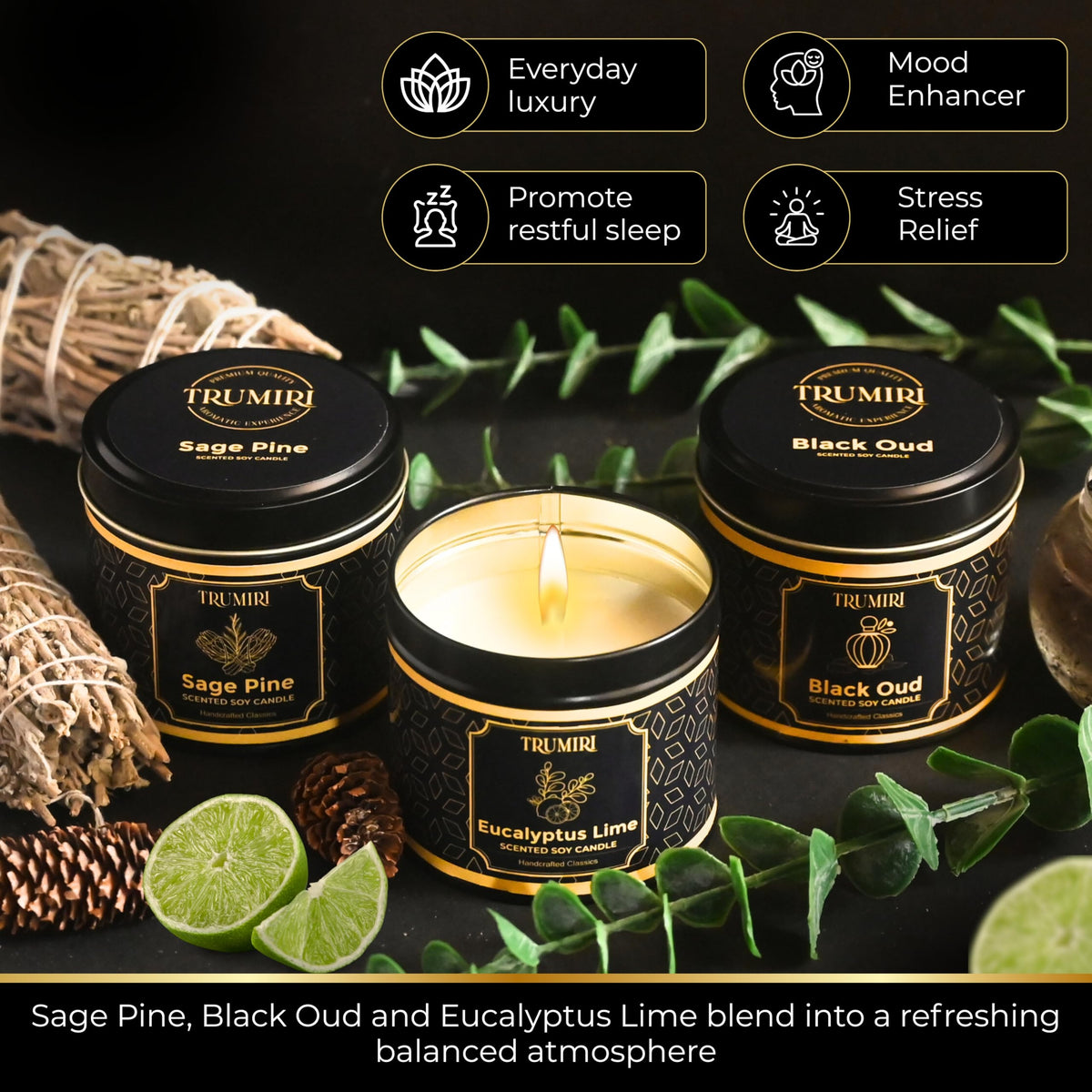 Candle Gift Set of 3 Black Oud|Sage Pine|Eucalyptus Lime Strong Scented Soy Candels Clean Non Toxic Velas Aromáticas Favors for Women Coworkers Friends Guests Also for Fall Diwali Christmas Holidays