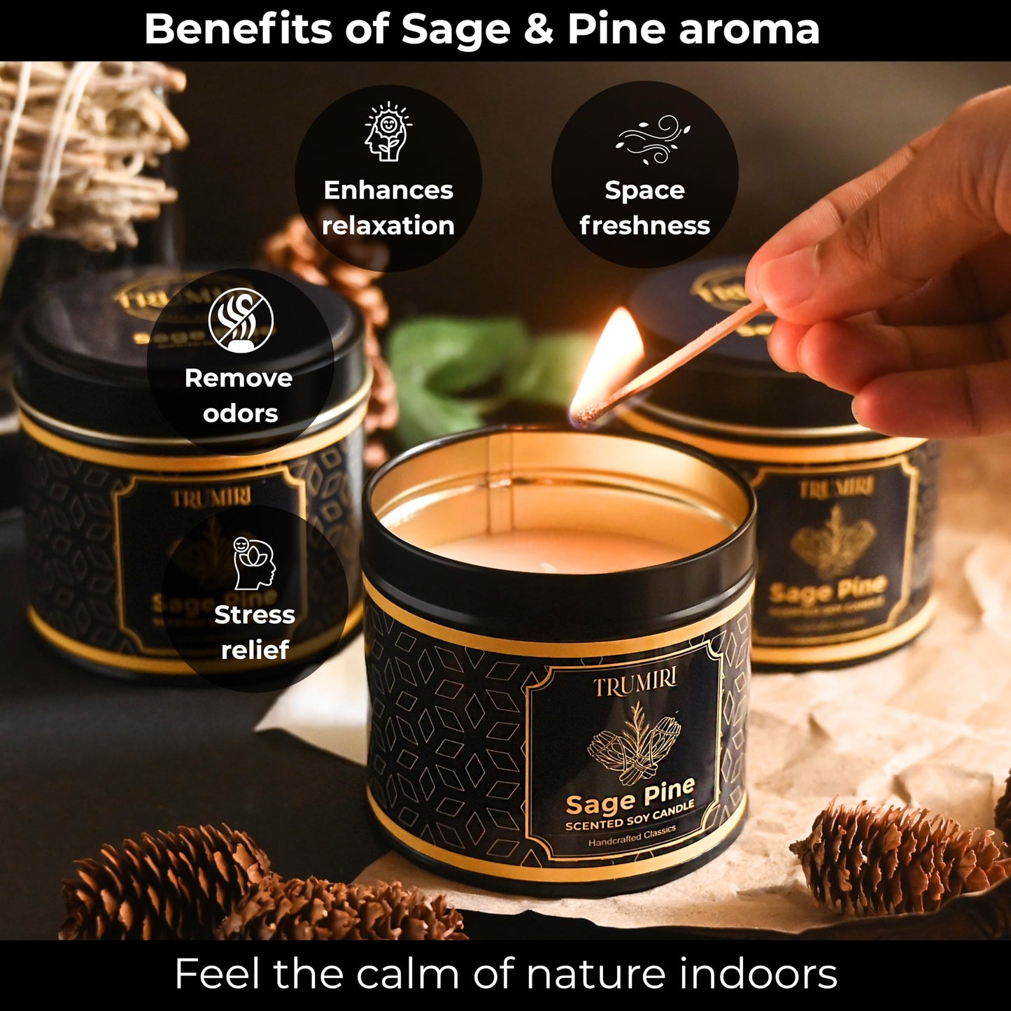 Sage & Pine Candle Strong Scented Soy Candel Natural Non Toxic Velas Aromáticas for Home Gift for Fall Christmas Holidays Pack of 3 5Oz Decorative Tin Jars with Lids