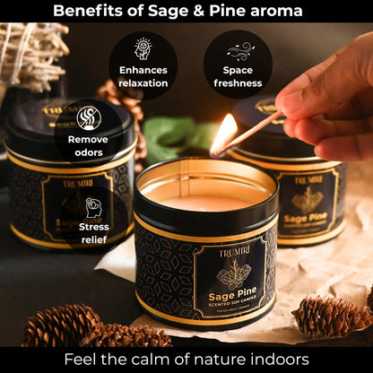 Sage & Pine Candle Strong Scented Soy Candel Natural Non Toxic Velas Aromáticas for Home Gift for Fall Christmas Holidays Pack of 3 5Oz Decorative Tin Jars with Lids