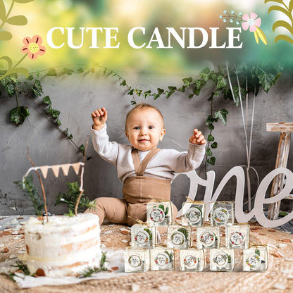 Qunclay 12 Sets Succulent Cactus Candle Party Favor Mini Succulent Tealight Candle Gift Smokeless for Wedding Graduation Birthday Party Anniversary Celebration Spa Home Decor