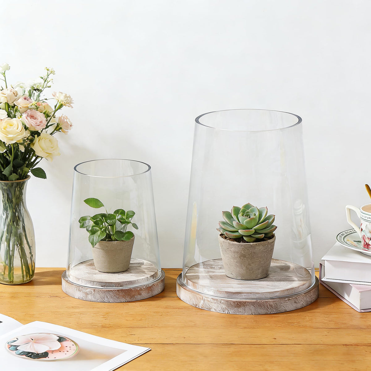 6" Wide Glass Hurricane Candle Holders with Handmade Sturdy Glass Sleeves and Distressed Brown Wood Base for Pillar Candle & Plants, Industrial, Farmhouse, Display Cloche Bell Jars, Table Centerpiece