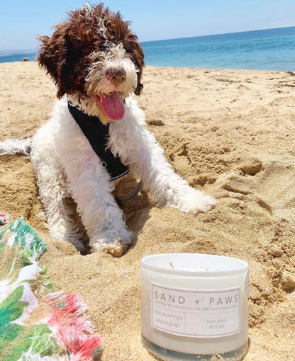 Sand + Paws Scented Candle - Eucalyptus - Additional Scents and Sizes –Luxurious Air Freshening Jar Candles Neutralize pet Odors and Enhance Home décor – 100% Cotton Lead-Free Wicks - 12 oz