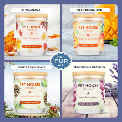 Pet House Candles Plant Based Cookie Scented Candle Clean Burning, Long Lasting for Home, Snowfall