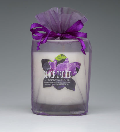 Scentsational Black Orchid Natural Soy Candle, 11 oz, 50-60 Hour Burn Time, Purple Gift Bag