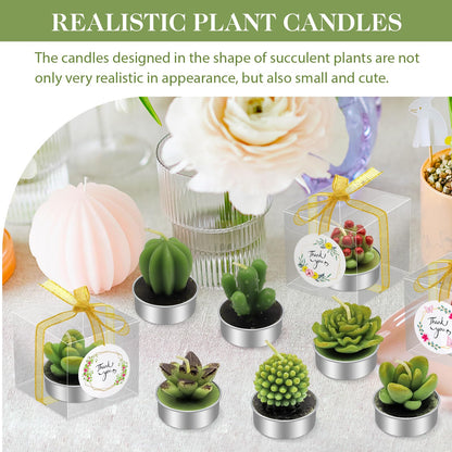 AZEAM 24 Pcs Succulent Candles Party Favors, Bulk Cactus Table Decor for Guests, Mini Tiny Handmade Plant Tealights Candle Decoration Set for Shower Prizes Game Bridal Wedding Home Birthday