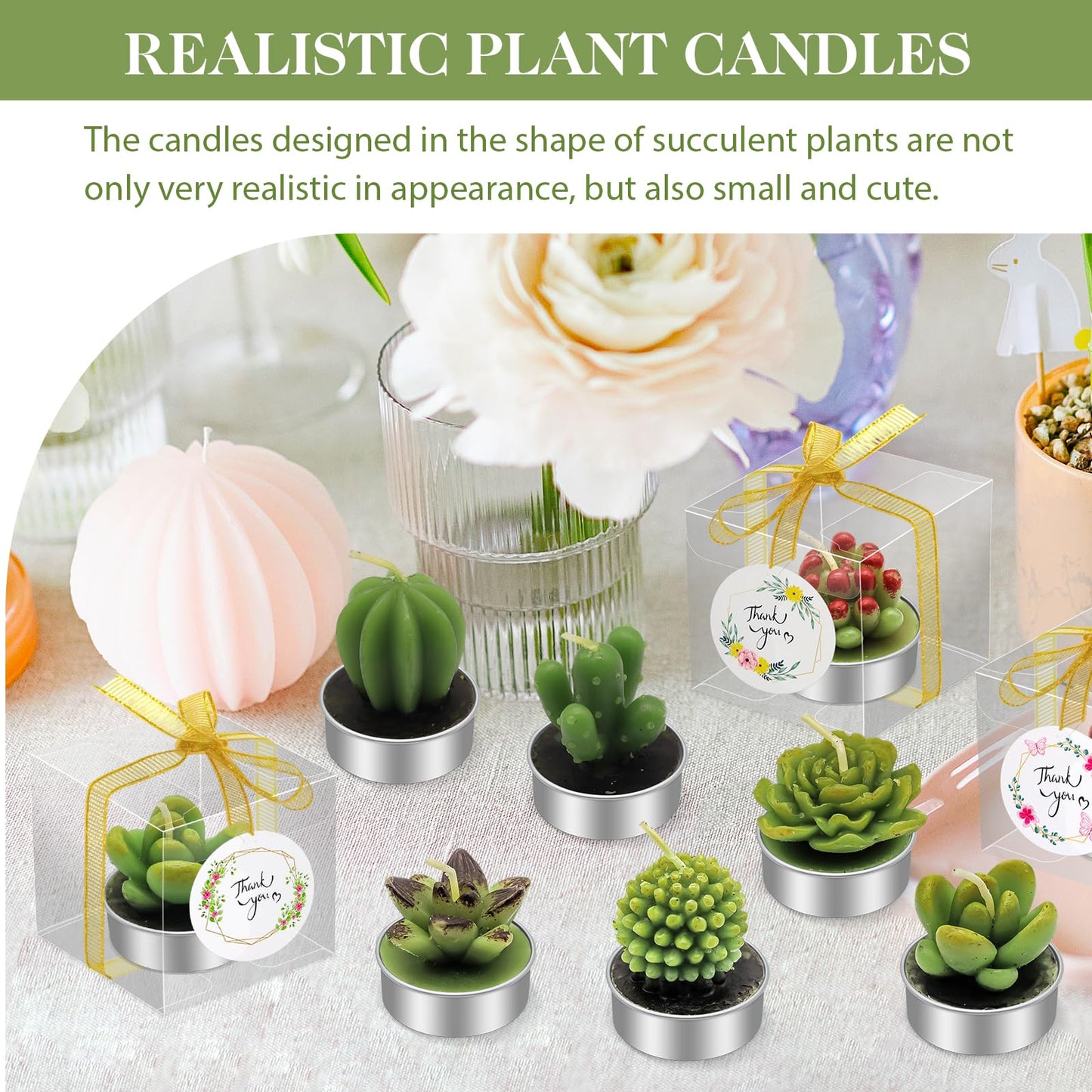 AZEAM 48 Pcs Succulent Candles Party Favors, Bulk Cactus Table Decor for Guests, Mini Tiny Handmade Plant Tealights Candle Decoration Set for Shower Prizes Game Bridal Wedding Home Birthday