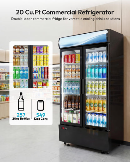 ICEVIVAL 20 cu.ft Beverage Fridge, Commercial Refrigerators with LED Light, 2 Glass Door Drink Merchandiser with 8 Adjustable Shelves, 32-50°F Digital Control ETL Certified Black