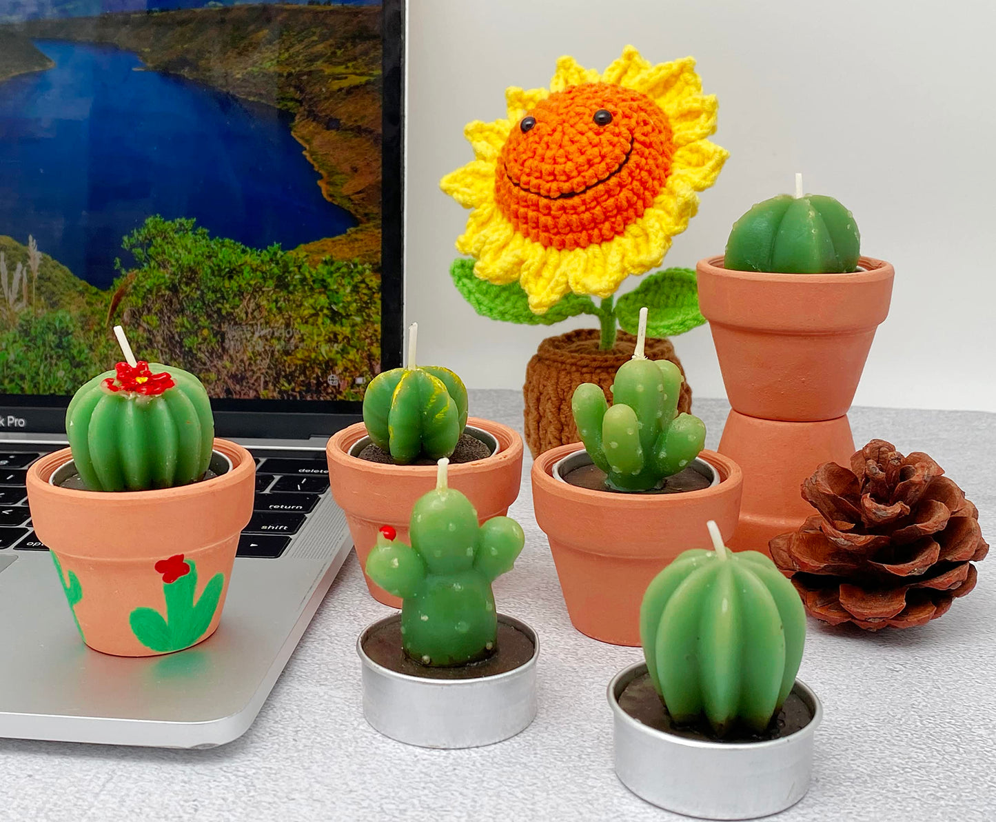 12pcs Cactus Tealight Candles Bridal Shower Gifts Boho Mexican Party Decorations Succulent Candle Mini Tea Light Baby Shower Favors Novelty Fiesta Terrarium Plant Candles Bulk