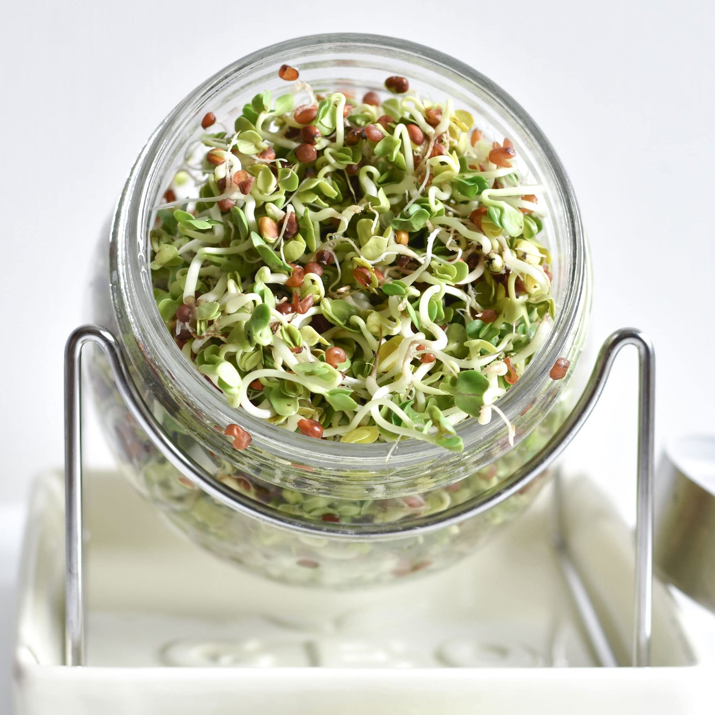GEO Sprouting Jar - Italian Design - Glass Jar with Stainless Steel Screen, Rim, Stand on Ceramic Base