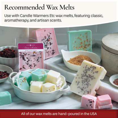 Candle Warmers Etc. Fragrance Warmer (Succulent) Warm Scented Wax Melts, Cubes and Tarts