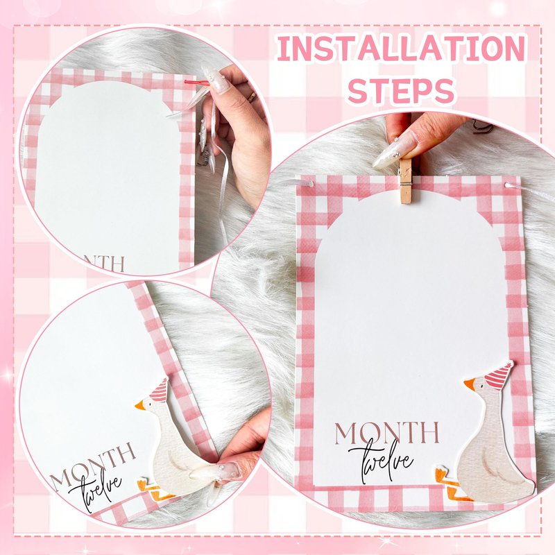 Pink One Silly Goose Photo Banner Silly Goose 1st Birthday Decor Girl for Newborn to 12 Months Picture Banner Goose First Birthday Party Supplies Monthly Milestones Frame
