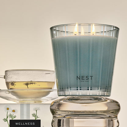 NEST New York Scented 3-Wick Candle, Driftwood & Chamomile - 21.2 oz, Pack of 2 - Up to 100-Hour Burn Time - Reusable Glass Vessel