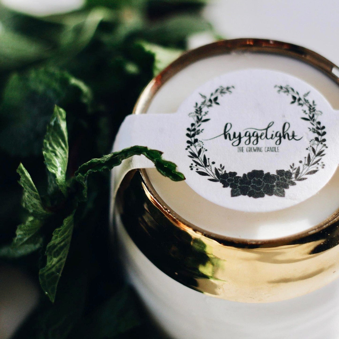 Hyggelight - The Growing Candle, Mint & Eucalyptus Scented, 10oz Ceramic Pot, Aromatherapy Candles, 100% Soy, Clara