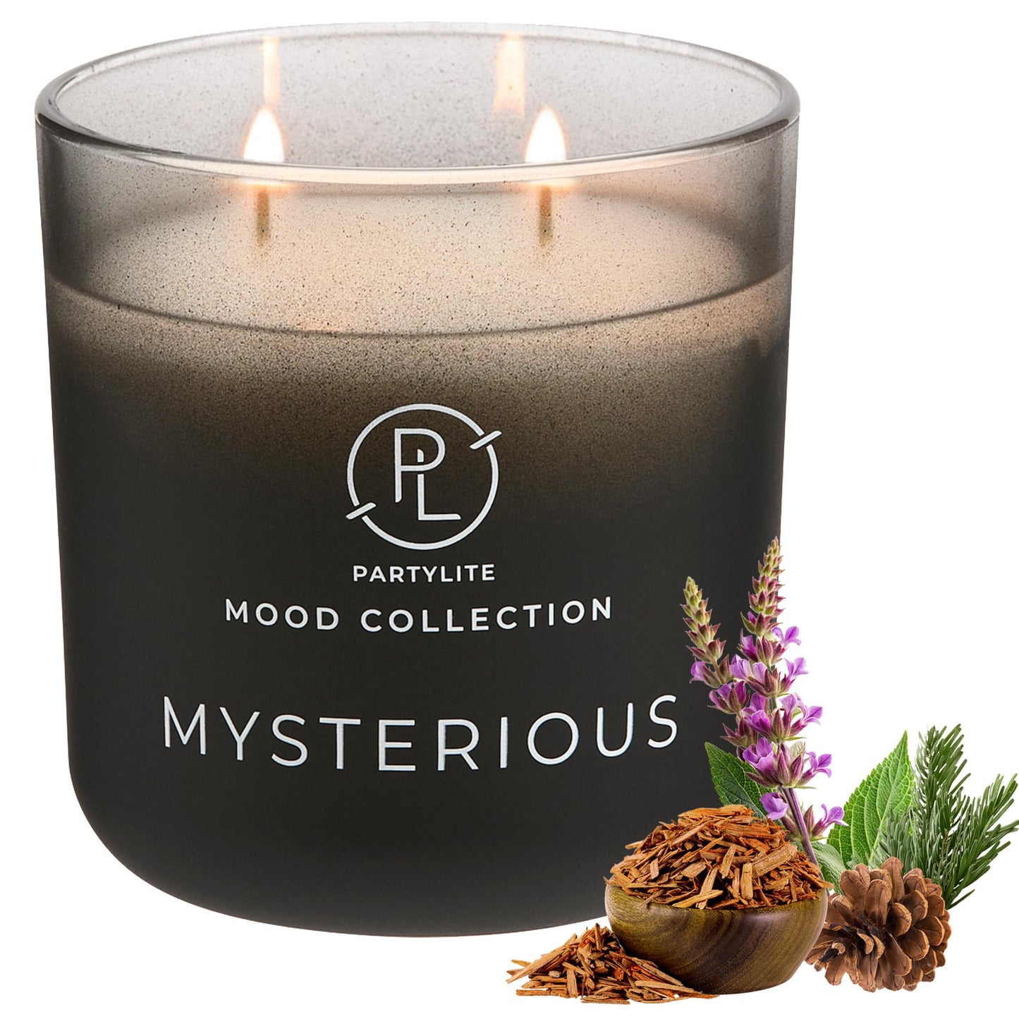 PartyLite Mysterious Scented, with Notes of Citron, Nutmeg & Clove, 14.1oz 2-Wick Ombre Jar Candle, 24-48 Hour Burn Time, Part of The Mood Collection, Warm & Earthy, Perfect for Gifting