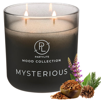 PartyLite Mysterious Scented, with Notes of Citron, Nutmeg & Clove, 14.1oz 2-Wick Ombre Jar Candle, 24-48 Hour Burn Time, Part of The Mood Collection, Warm & Earthy, Perfect for Gifting