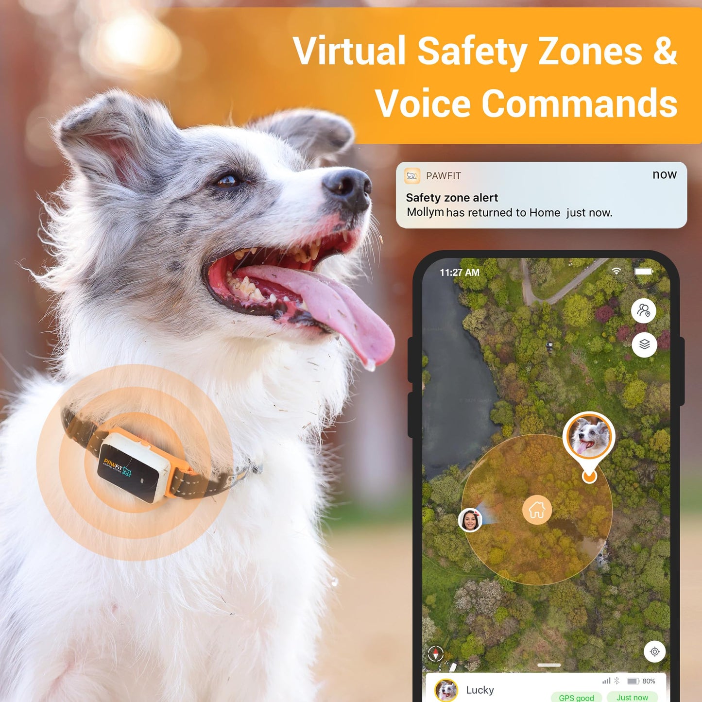 Pawfit 3 GPS Pet Tracker GPS Dog Tracker 4G Live Tracking, Smart Alerts, Fully Waterproof Activity Monitor for Pets, Unlimited Range, Remote Voice Recall, Fits All Collars, 30 Day Free Subscription