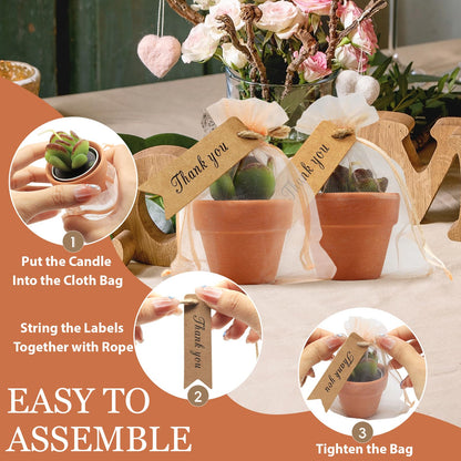 AZEAM 24 Pcs Succulent Candles Party Favors, Bulk Cactus Table Decor with Mini Terracotta Holders, Tiny Handmade Plant Tealights Candle Decoration for Shower Bridal Game Wedding Home Birthday