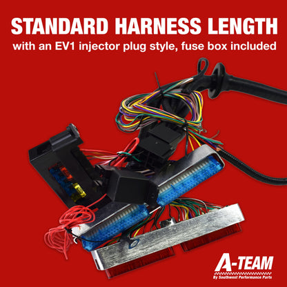 A-Team Performance - Standalone Wiring Harness W/4L60E Drive by Cable - Compatible with 4.8 5.3 6.0 GM LS LS1 LS6 LS Truck Swap Vortec 1999-2003 - Easy to Use Wiring Harness - Includes Connectors