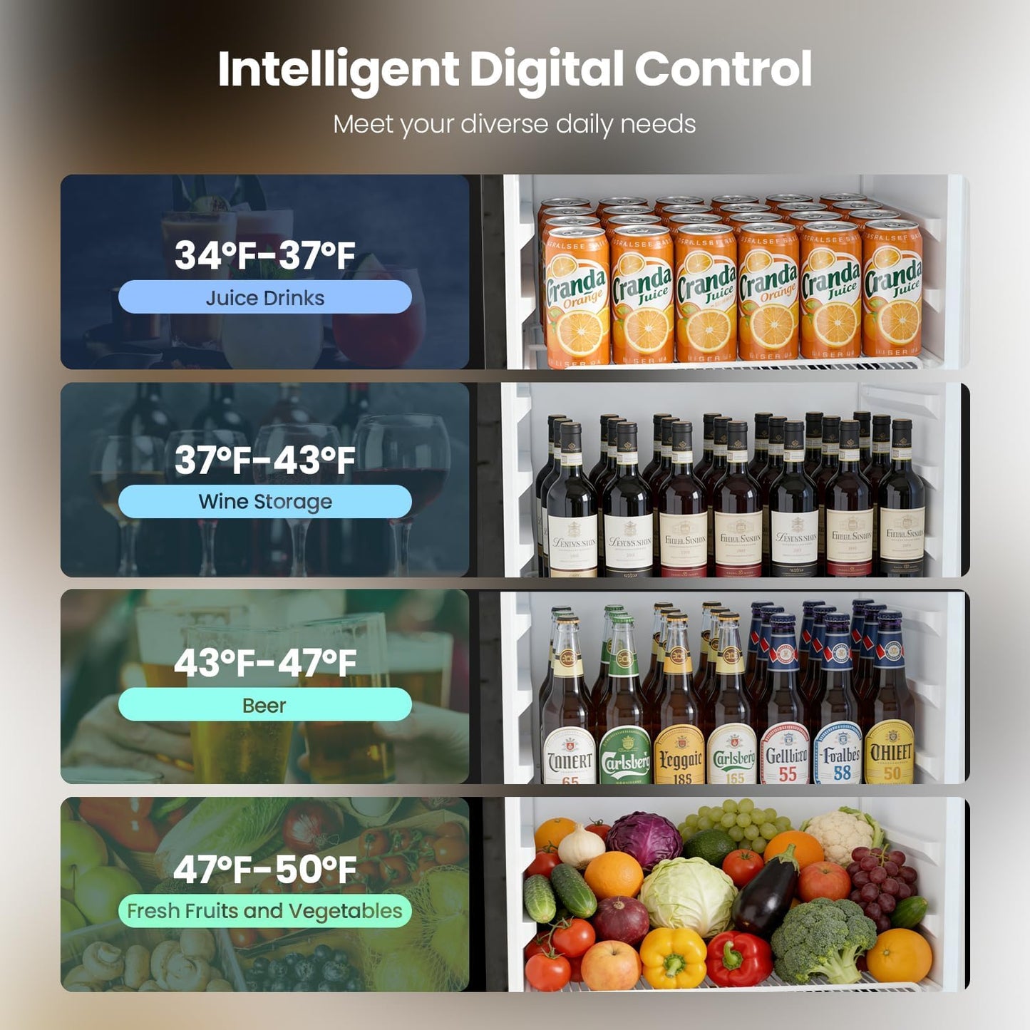 Kismile 9.1 Cu.Ft Large Commercial Refrigerator with Customizable Lightbox, Display Fridge with Wheels, Lock & Key, Double-Tempered Glass Beverage Refrigerator for Bar, Restaurant, Outdoor
