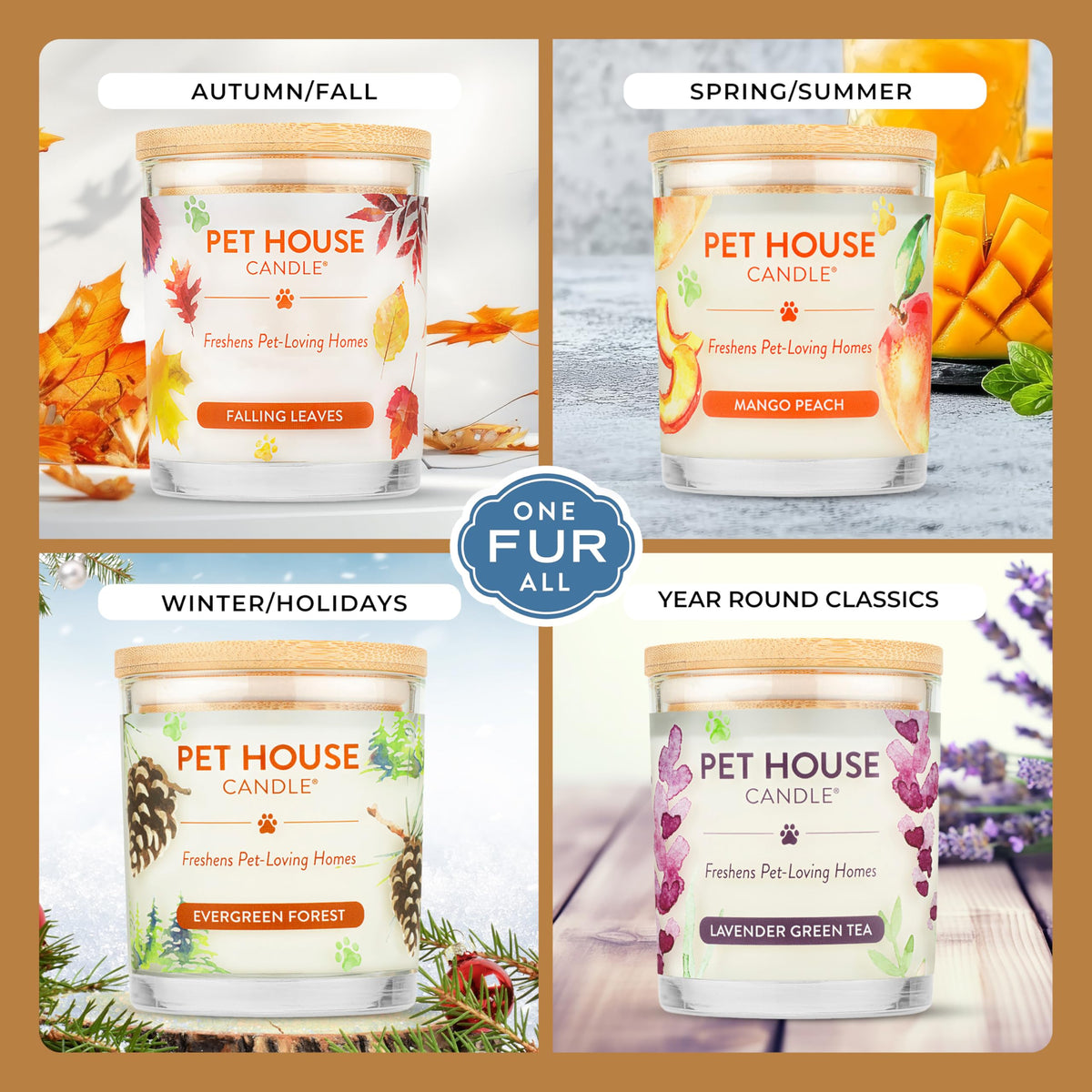 Pet House Candles, Clean Long-Burning, Scented Pet Friendly Candles, Plant-Based, 60 Hour Burn Time - Ocean Driftwood, 9 oz