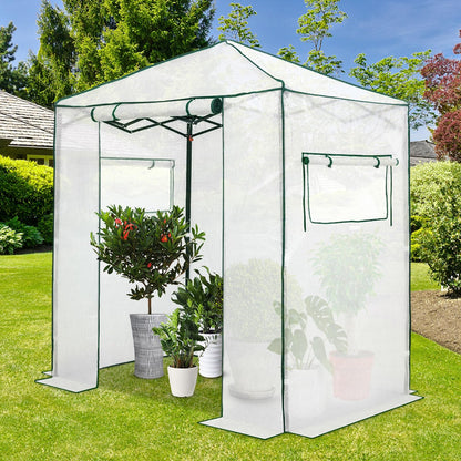 EAGLE PEAK 6x4 Portable Walk in Greenhouse, Pop Up Indoor Outdoor Greenhouse, Green House Kit with Zippered Roll-Up Doors and Windows, PE Cover, Clear/White