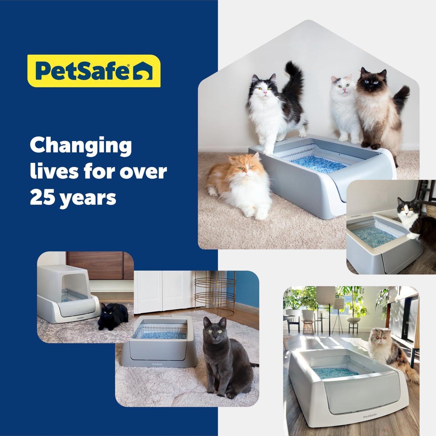 PetSafe ScoopFree Premium Crystal Cat Litter - Outperforms Clay Litter - Refill Packs - Reusable Tray Compatible - Fresh Scent - 4.3 lb Bags - 2 Pack