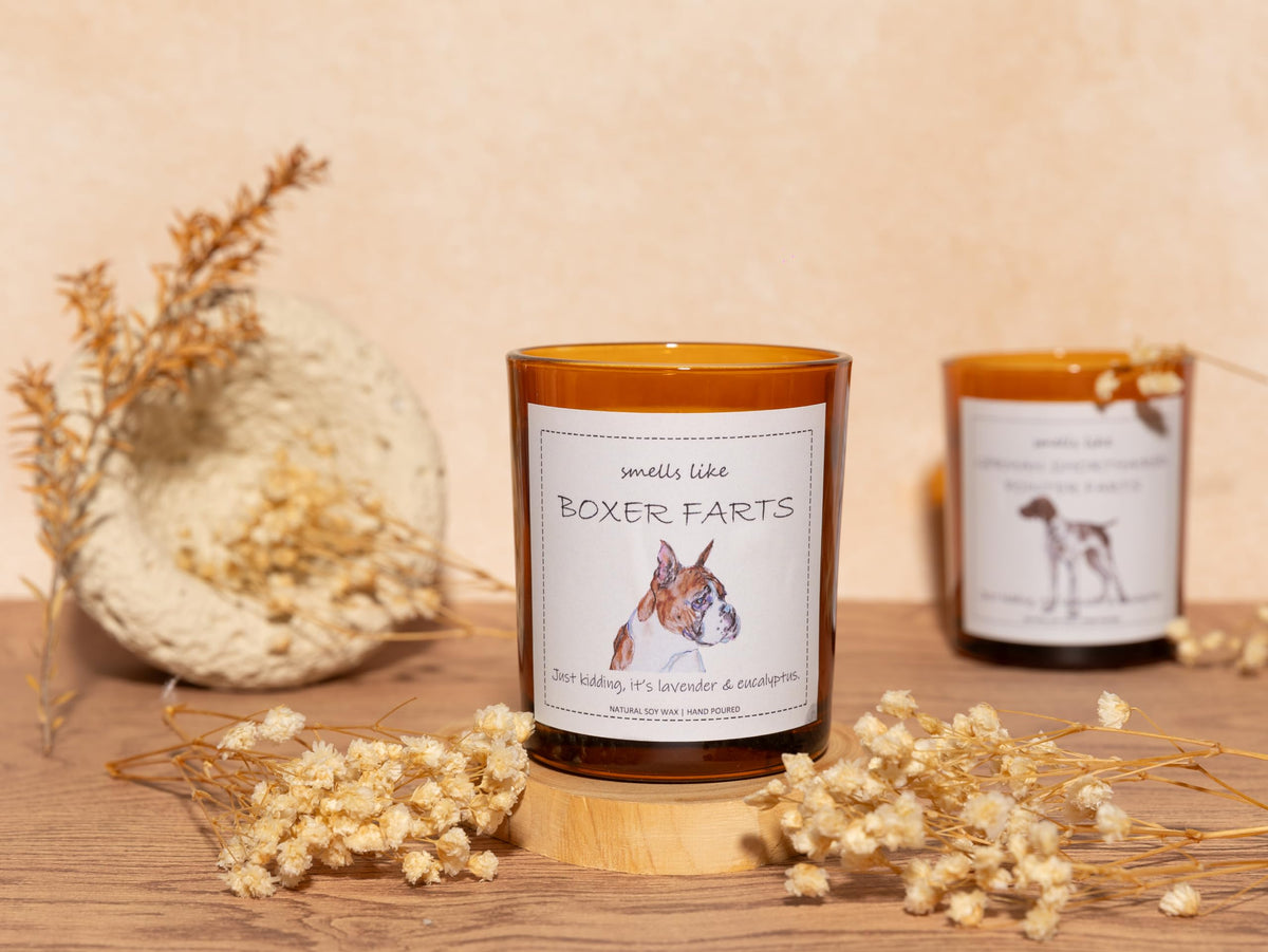 Boxer Dog Gifts & Decor, Boxer Dog Gifts for Women, Smells Like Boxer Farts Candle - Lavender & Eucalyptus, Crafted by Natural Soy Wax & Natural Essential Oils