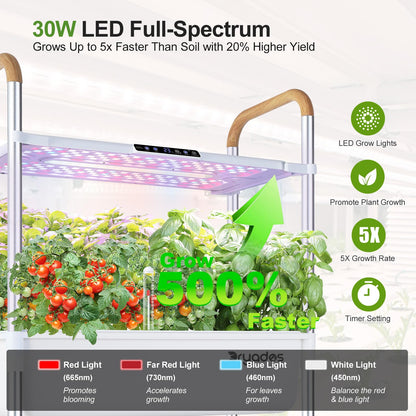 DRYADES Indoor Hydroponic Growing System with 81 Pods Herbs Garden Kit with 30W Led Grow Light Large Movable 3-Layer Floor-Standing Hydroponic Gardening System for Vegetable Fruit