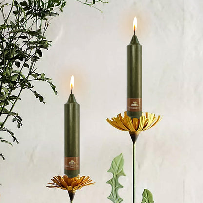 Taper Candle Odorless Candlesticks 7 INCH Short Candle Sticks Unscented Candles Smokeless Candles for Dinner Home Décor Weddings Festive Seasons Holiday