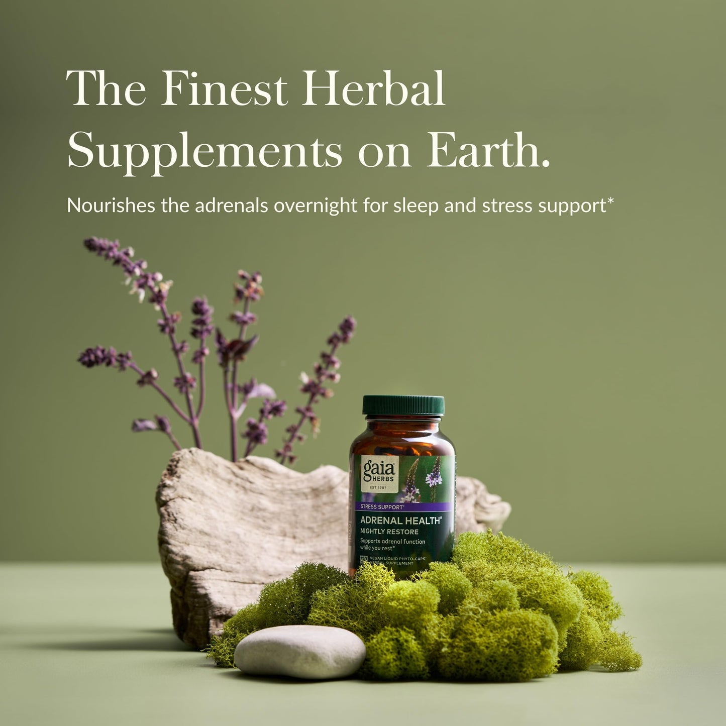 Gaia Herbs Adrenal Health Nightly Restore - Herbal Supplement with Ashwagandha, Magnolia Bark, Cordyceps, Lemon Balm & More - 120 Vegan Liquid Phyto-Capsules (60 Servings)