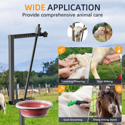 SKONYON Goat Milking Stand With Feeder: Heavy Duty 600lbs Goat Stand | 47x23 Inch Livestock Table With Adjustable Headpiece & Legs | Hoof Trimmers Shearing For Goats & Sheep | Sheep Stand Black