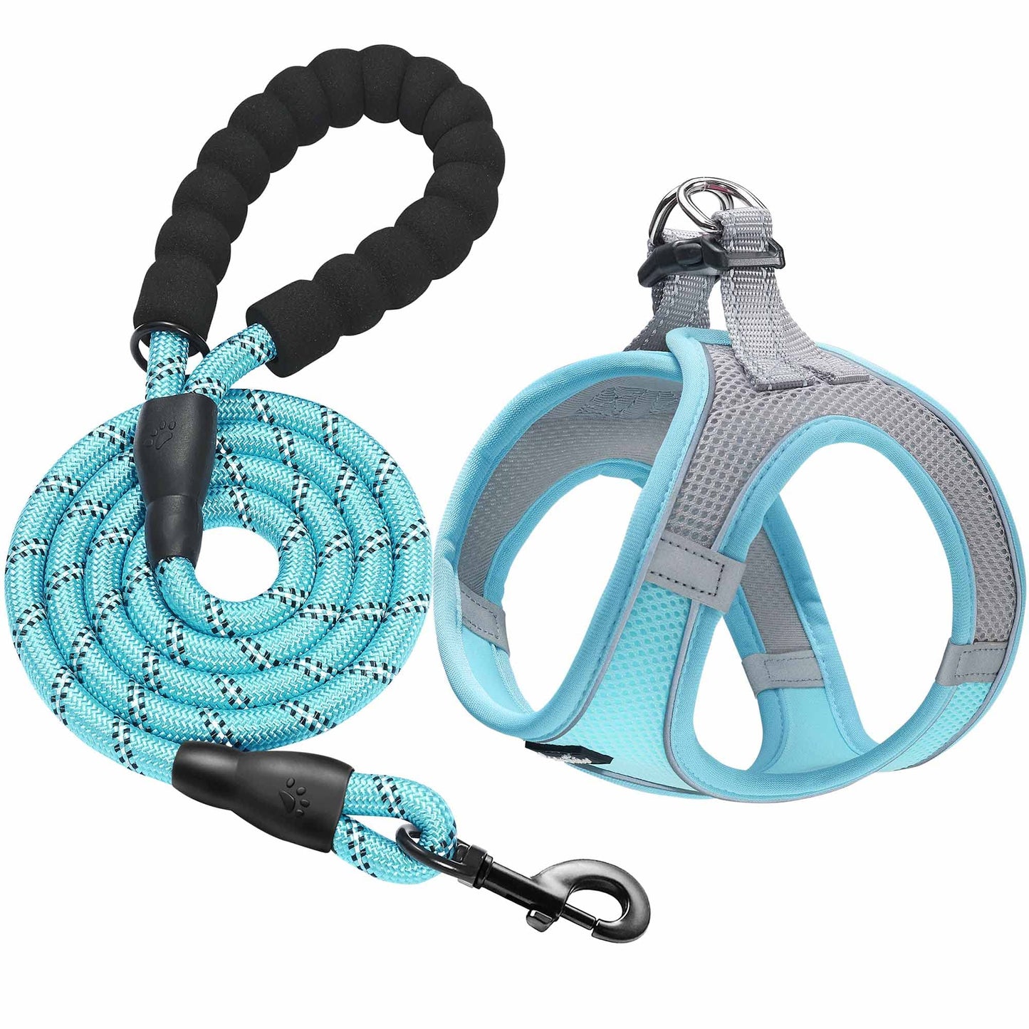 haapaw Dog Harness with Leash Set, No Pull Adjustable Reflective Step-in Puppy Harness with Thickened Padded Vest for Extra-Small/Small Medium Dogs