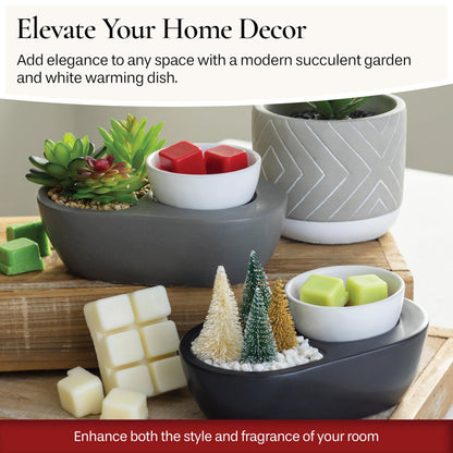 Candle Warmers Etc. Fragrance Warmer (Succulent) Warm Scented Wax Melts, Cubes and Tarts