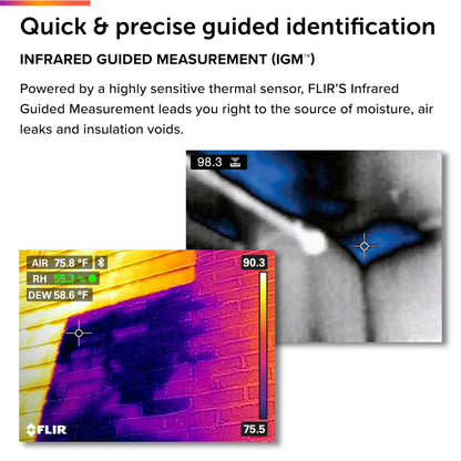 FLIR MR277 Moisture Meter, MSX IR Camera & Hygrometer for Building Inspection