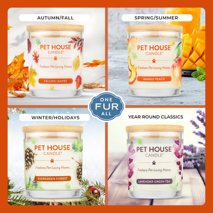 One Fur All Pet Odor Candles 2 Pack, Plant-Based Soy, Clean Burning Scented Candles for Pet Loving Homes - Pumpkin Spice, Apple Cider 2 Pack