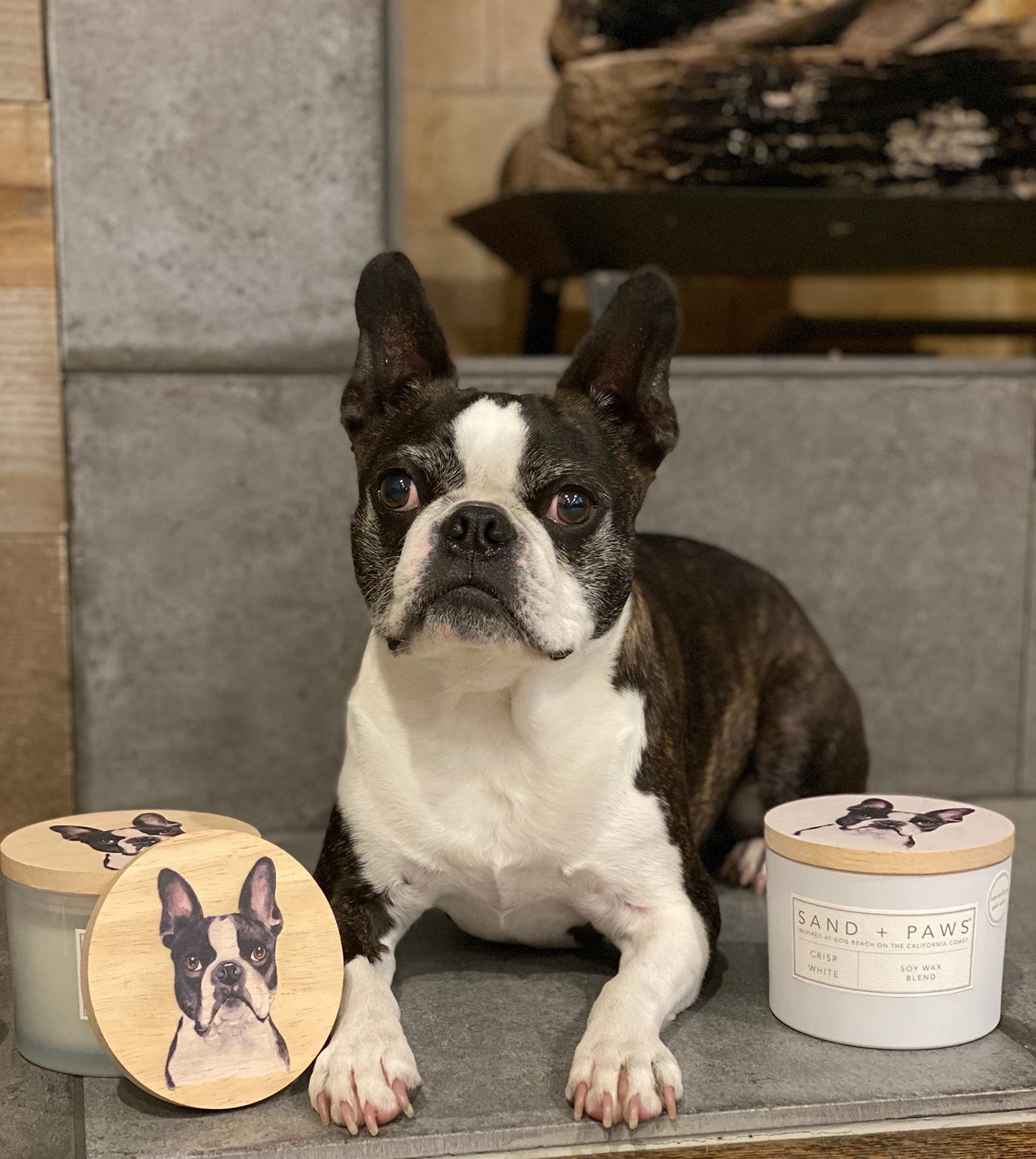 Sand + Paws Scented Candle - Eucalyptus - Additional Scents and Sizes –Luxurious Air Freshening Jar Candles Neutralize pet Odors and Enhance Home décor – 100% Cotton Lead-Free Wicks - 12 oz