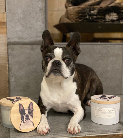 Sand + Paws Scented Candle - Eucalyptus - Additional Scents and Sizes –Luxurious Air Freshening Jar Candles Neutralize pet Odors and Enhance Home décor – 100% Cotton Lead-Free Wicks - 12 oz