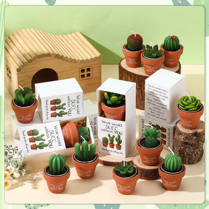 Lyrow 24 Sets Employee Appreciation Gift Cactus Tealight Candles Set Mini Handmade Succulent Candle Planter with Matchbox, Office Thanks Gift for End of Year Staff Team Teacher Volunteer