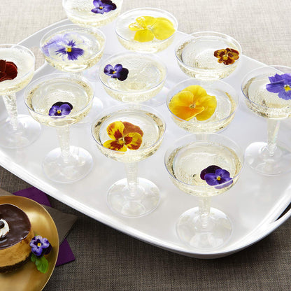 Party Essentials Disposable Hard Plastic Two Piece 4 oz. Toasting Cocktail Cups, 50-Count, Clear Champagne Glasses