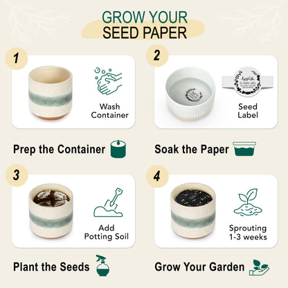 Hyggelight - The Growing Candle, Coffee Scented, 8.5oz Ceramic Pot, Aromatherapy Candles, 100% Soy, Cream and Espresso Aroma for Home, Edith