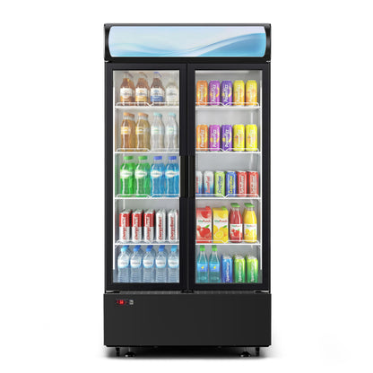 ICEVIVAL 20 cu.ft Beverage Fridge, Commercial Refrigerators with LED Light, 2 Glass Door Drink Merchandiser with 8 Adjustable Shelves, 32-50°F Digital Control ETL Certified Black