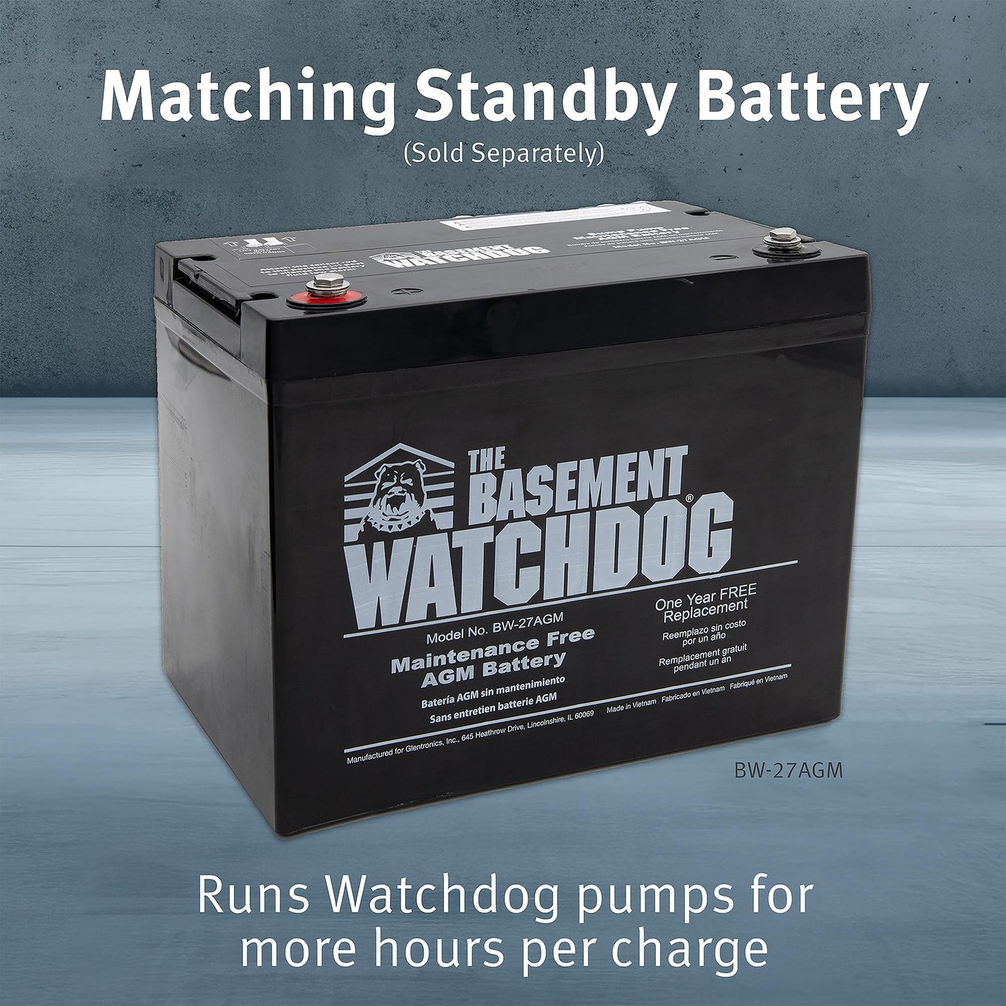 The Basement Watchdog Combo Preassembled Primary & Battery Backup Sump Pump System w/Monitoring Controller (CITE-33); Copper-Wound PSC Motor