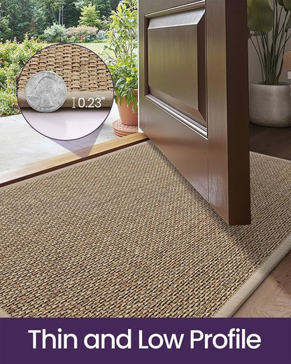 DEXI Ultra Thin Indoor Door Mat - Non-Slip Rubber Backing, Easy Clean Dirt Trapper | 24x36, Beige