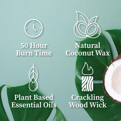 Hemlock Park Foxtail Fir Amber & Gold Hand-Poured Scented Candle | Crackling Wood Wick, Botanical Fragrance & Coconut Wax | Up to 60 Hour Burn Time | 7.2 oz