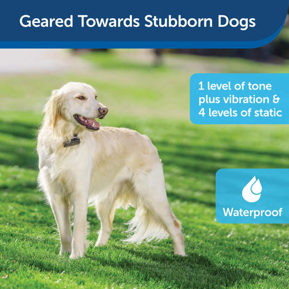 PetSafe Stubborn Dog In-Ground Pet Fence for Dogs and Cats - from The Parent Company of Invisible Fence Brand – Boundary Wire Not Included – Pick Your Wire Gauge Separately