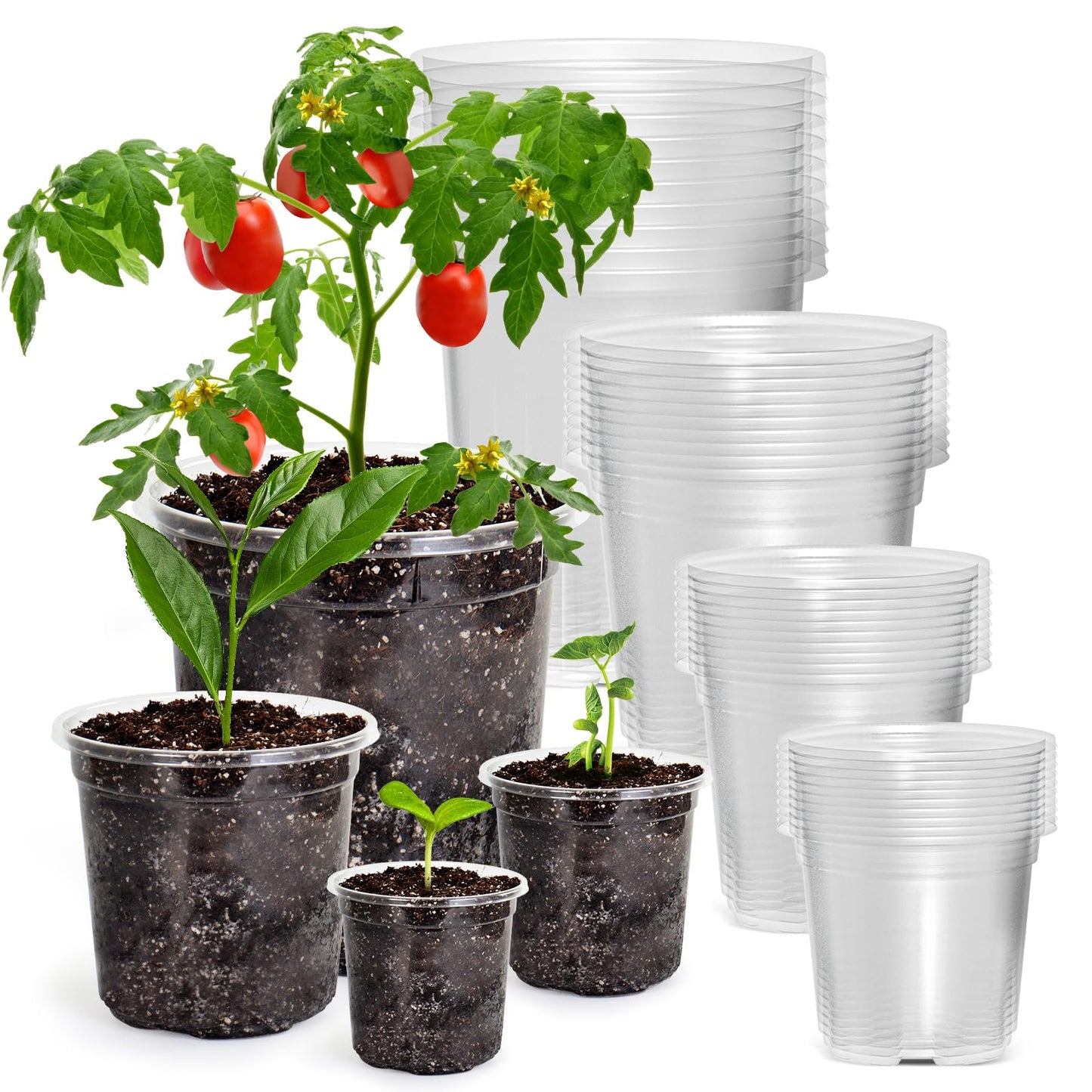 Bluepro 36 Packs 6.7/5/4/3.5 Inch Reinforced Clear Nursery Pots with Drainage Hole, Transparent Variety Pack Plastic Plant Pot Seedling Planter Seed Starter Flower