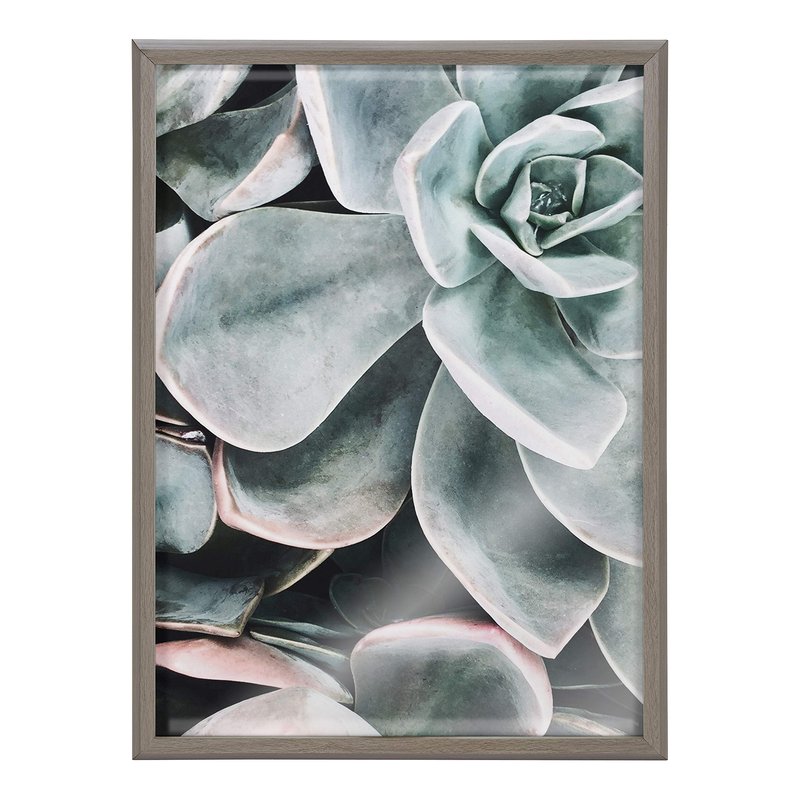 Kate and Laurel Blake Botanical Succulent Plants 2 Framed Printed Glass Wall Art by The Creative Bunch Studio, 18x24 Gray, Succulent Art for Wall