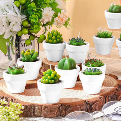 Shihanee 36 Pcs Succulent Cactus Tealight Candles with Mini Terracotta Pots, Spring Decor, Fiesta Cinco De Mayo Party Decorations, Mexican Party Favors, Baby Shower Wedding Table Decor(White)