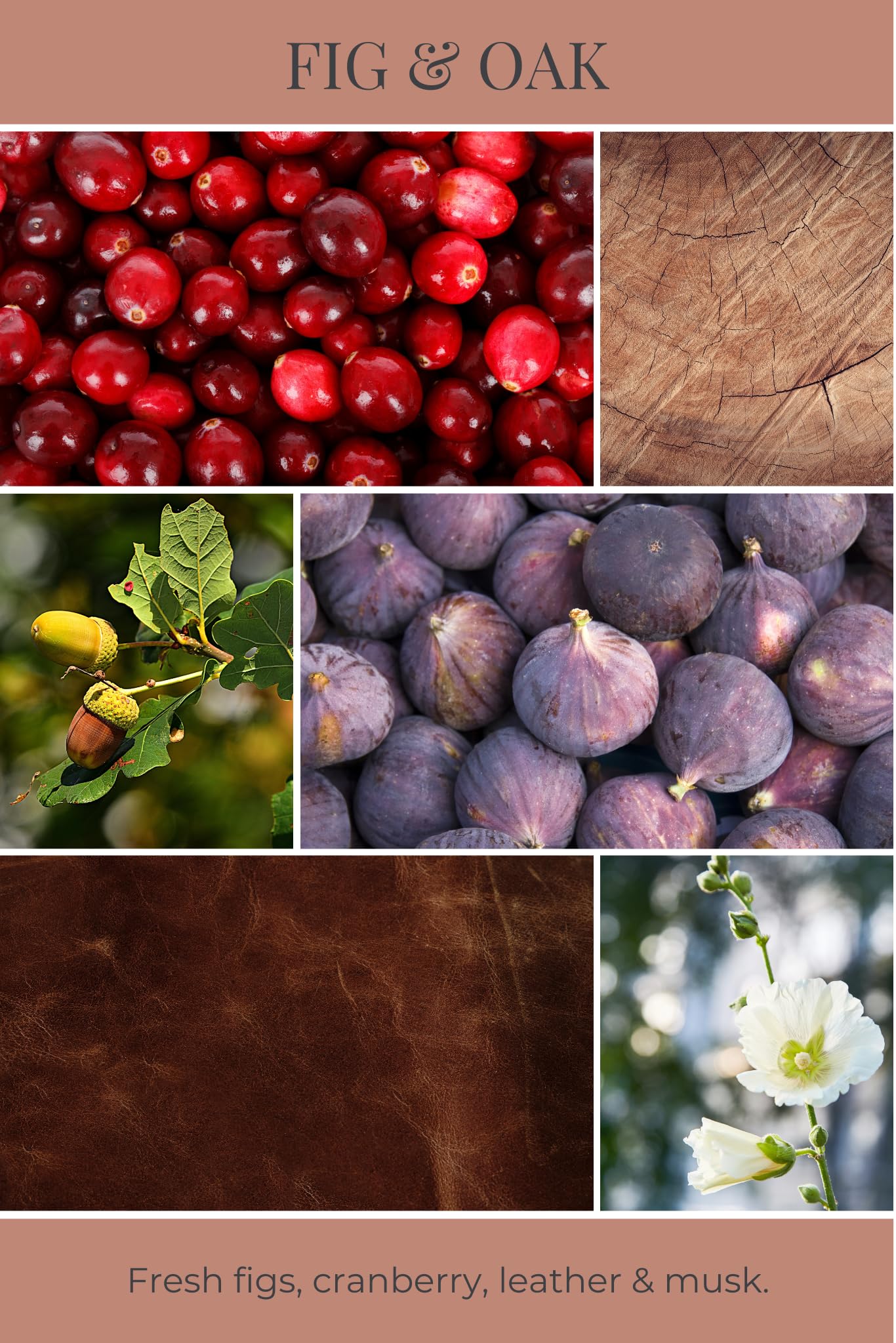 Eco Candle Co. Recycled Candle, Fig & Oak, 6 oz. - Scents of Figs, Cranberries, Leather, & Musk - 100% Soy Wax, No Lead, Kraft Paper Label & Lid, Hand Poured, Made from Midwest Grown Soybeans
