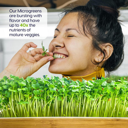 Self-Watering Microgreens Growing Kit – Easiest Way to Grow Fresh Microgreens at Home. Includes Reusable Tray, Organic Seeds, Grow Mats & Stylish Bamboo Frame – No Soil, No Mess (Salad & Broccoli)